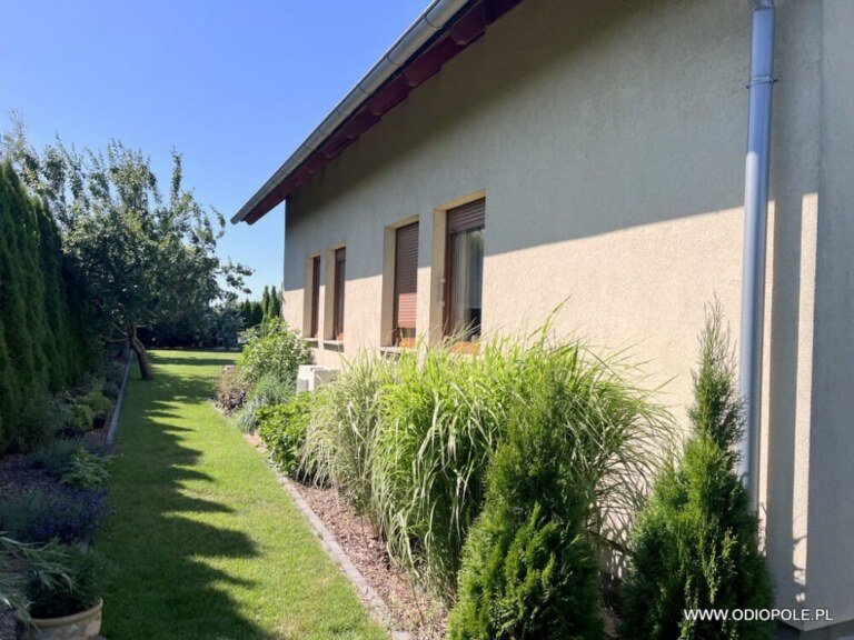 Detached house Czarnowąsy ODI/D/2470 ODI/2470 - Houses, Opole — photo 15