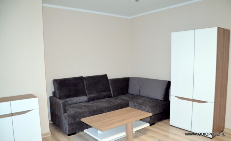 2-room apartment ODI/2521 - Apartments, Opole — photo 4