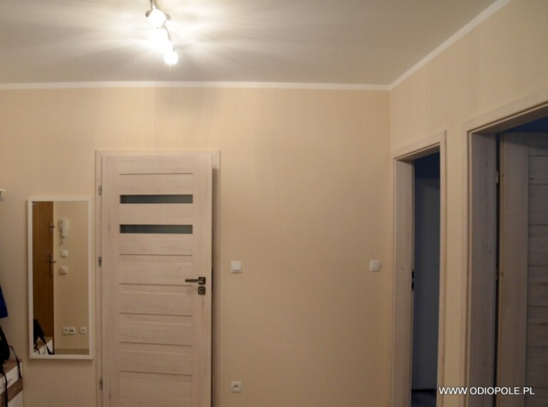 2-room apartment ODI/2521 - Apartments, Opole — photo 10