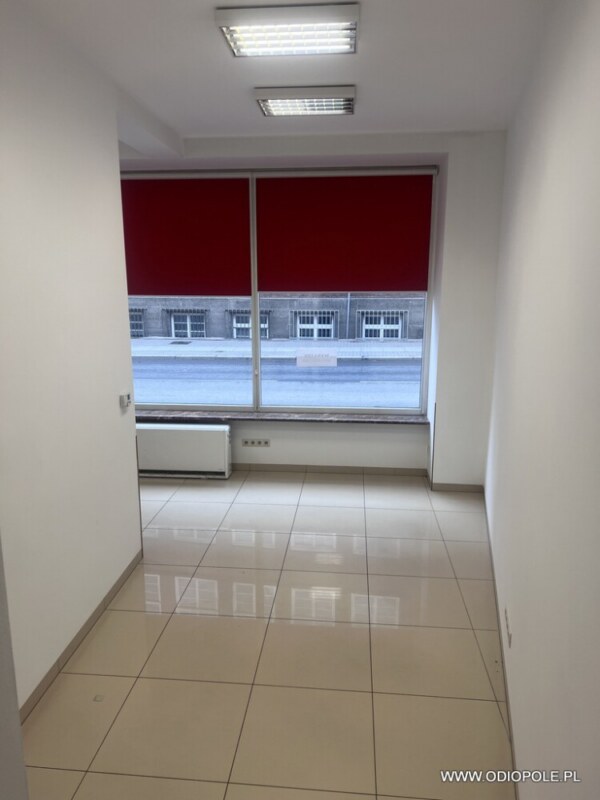 Nowoczesny lokal w ścisłym Centrum ODI/2527