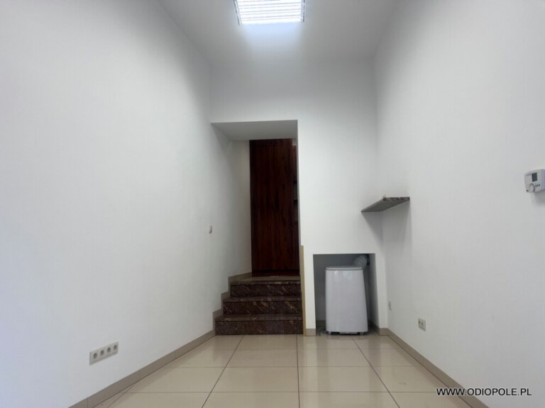 Nowoczesny lokal w ścisłym Centrum ODI/2527