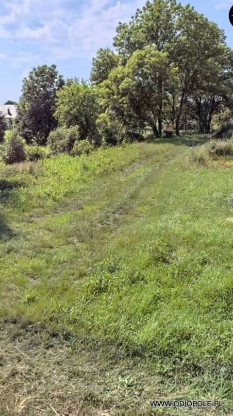 Plot with started construction ODI/2387 - Plots and land, Kępino — photo 3