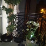 balkon w mieszkaniu w centrum Opola z czarną balustradą i donicami z roślinami
