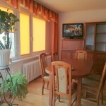 Jasny salon w mieszkaniu w Prudniku ze stołem, krzesłami, regałem i kwiatami doniczkowymi
