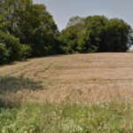 Widok na dużą niezabudowaną działkę rolną z widoczną granicą lasu w tle w słoneczny dzień