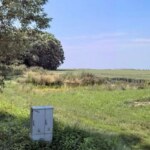 Pusta działka budowlana z zieloną trawą, skrzynką energetyczną i widokiem na otwartą przestrzeń